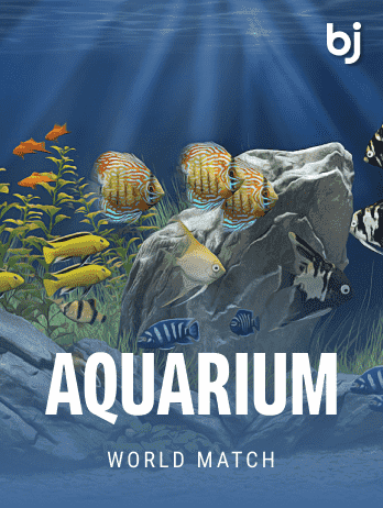 Aquarium